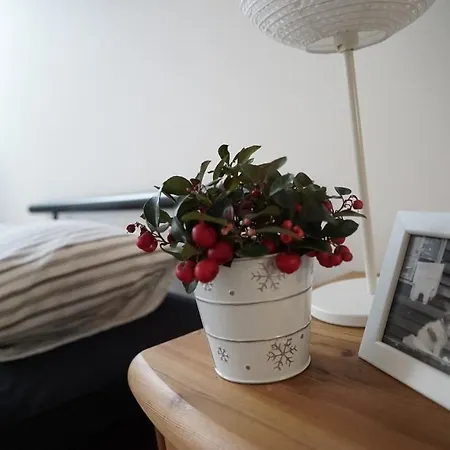 Apartment Loft With Amazing Terrace Prague