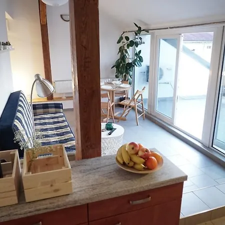 Loft With Amazing Terrace * Prague